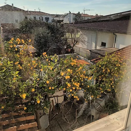 Apartamento Casa Patrizia 1 Piano *